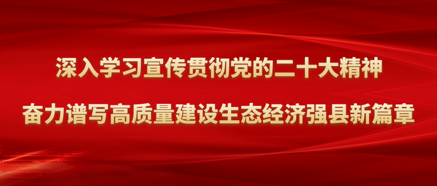 测试规则 测试规则