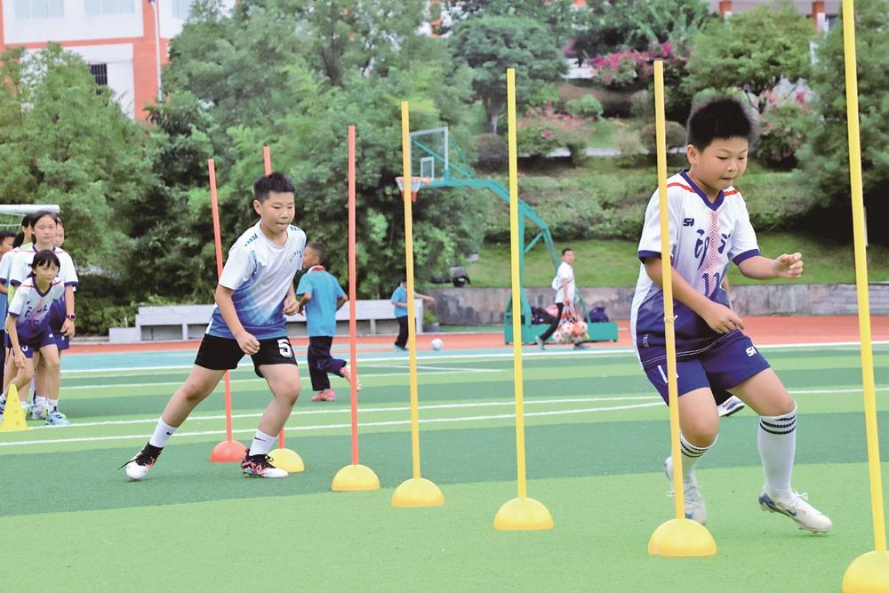 的育人理念, msn, 弱的她 的育人理念, msn, 弱的她